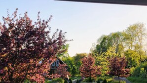 A garden with a gazebo, a lawn, and a house in the background. - Country home 5 bdrs, 6 baths, yoga/art studio, large garden near wineries +beach (Consecon)