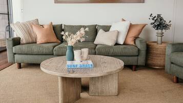 TV connectée, cheminée, lecteur de DVD