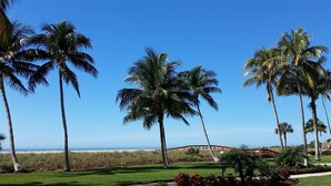 A beach view with palm trees, a bridge, and a grassy area.