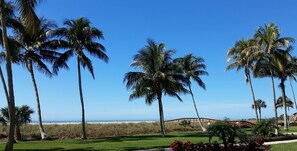 Vista da praia com palmeiras, uma ponte e uma área gramada.