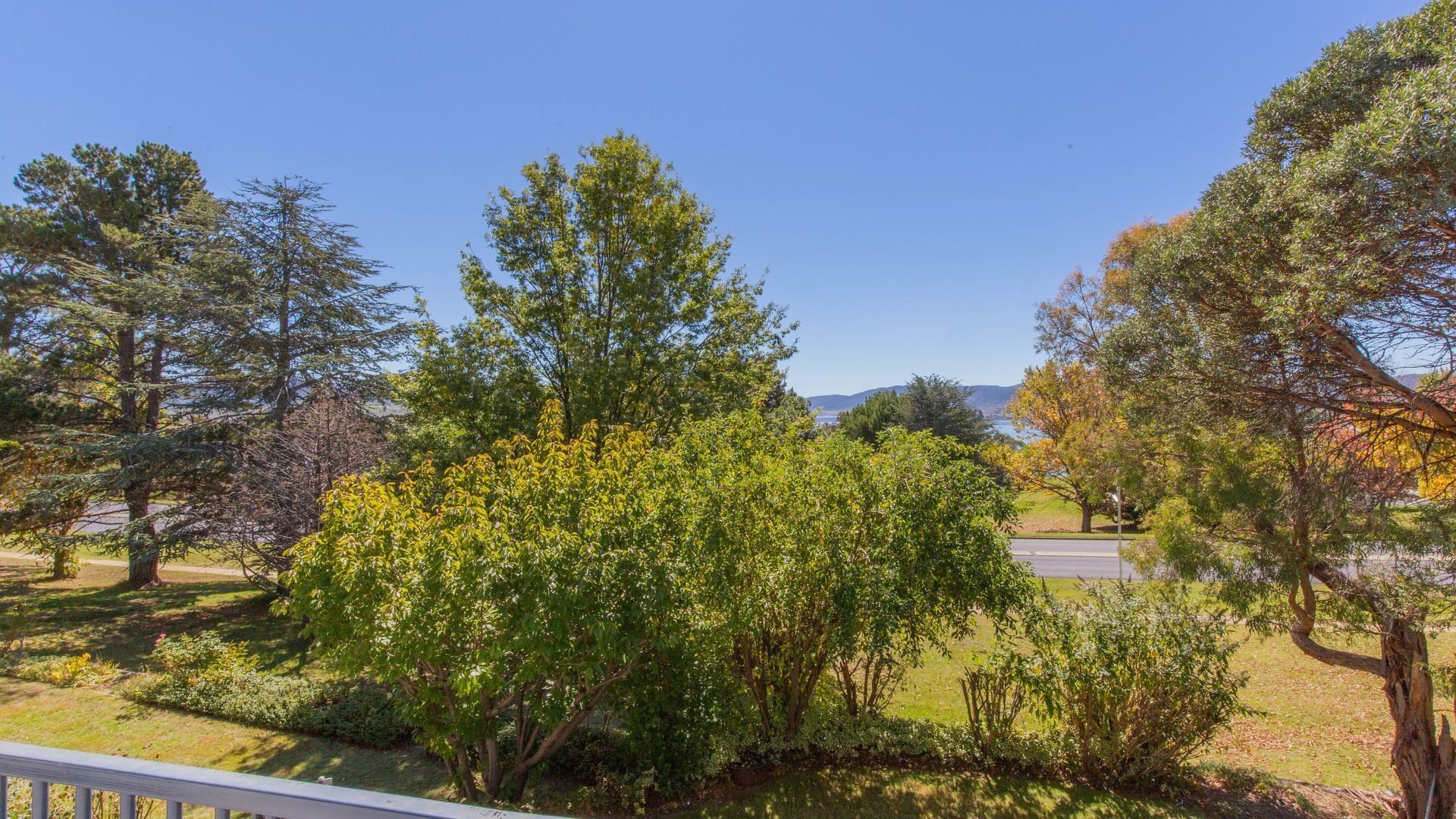 Wendaleigh - 5/26 Clyde Street — image 10