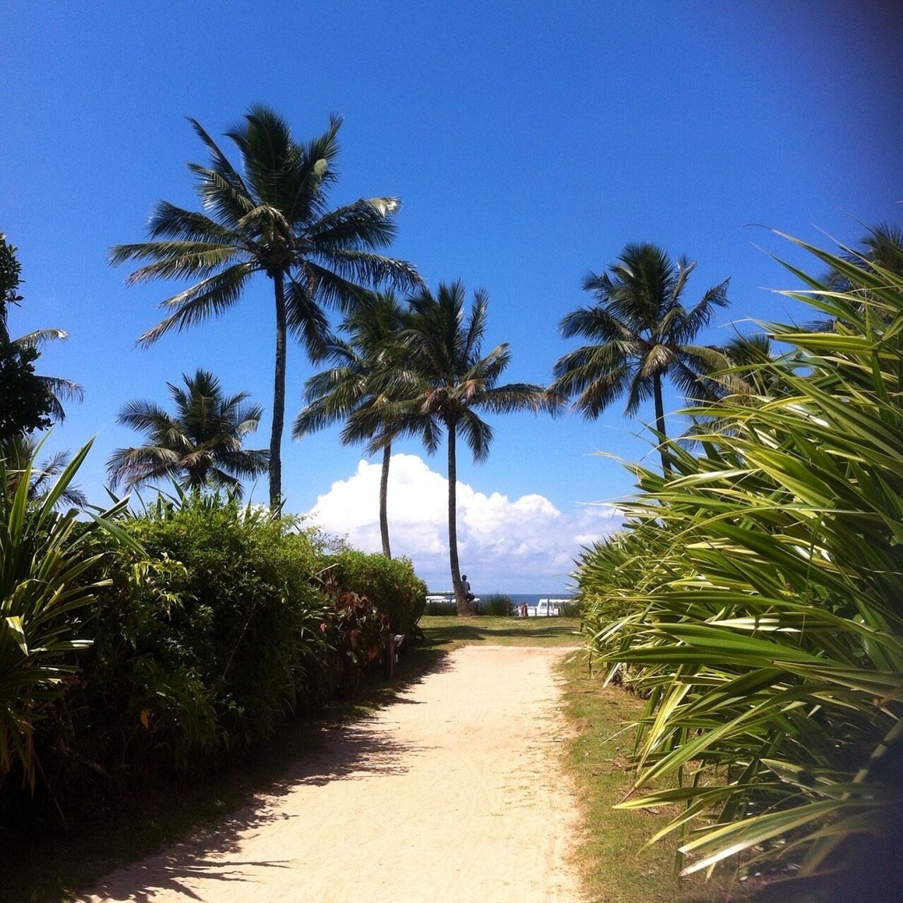 Beach