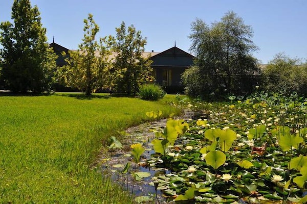 The front pond