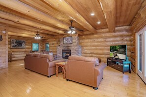 TV, fireplace, video games, DVD player