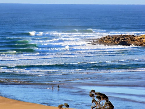 Experience the Authentic Wild Coast!