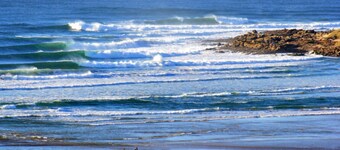 Experience the Authentic Wild Coast!