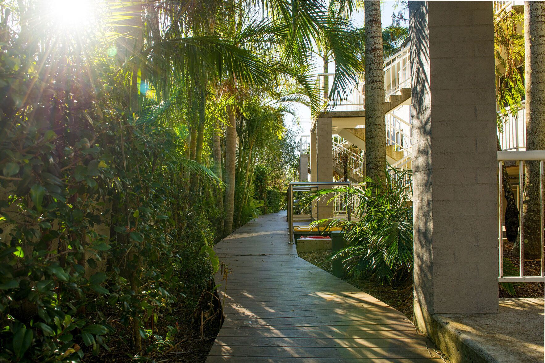 A pathway flanked by lush greenery and palm trees, leading to a building with a modern architectural style.