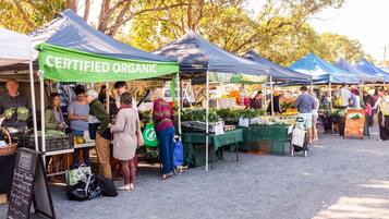 A market with multiple stalls, some labeled "CERTIFIED ORGANIC."