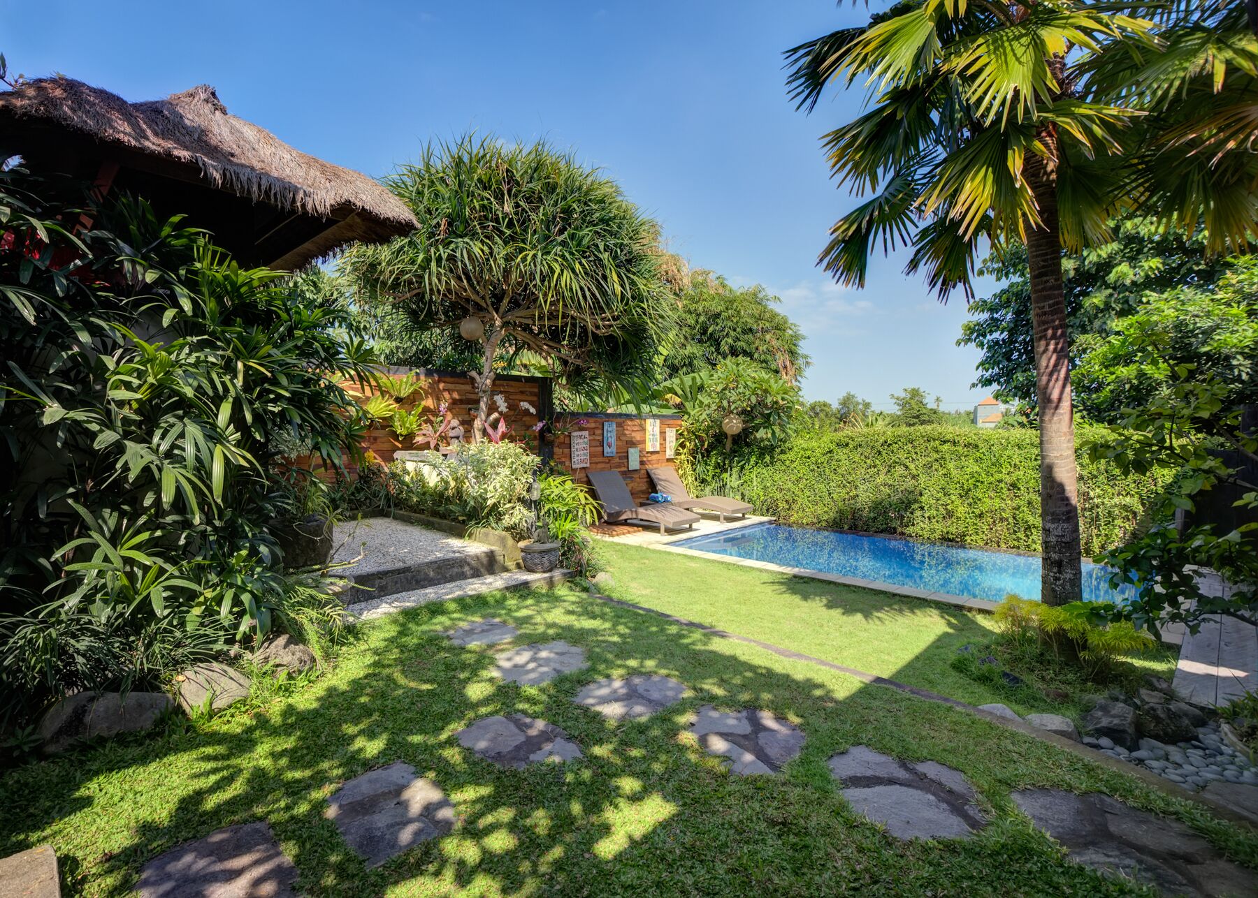 室外泳池；躺椅