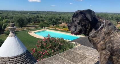 Mansion among the olive trees and horses