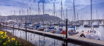 Marina View Apartment