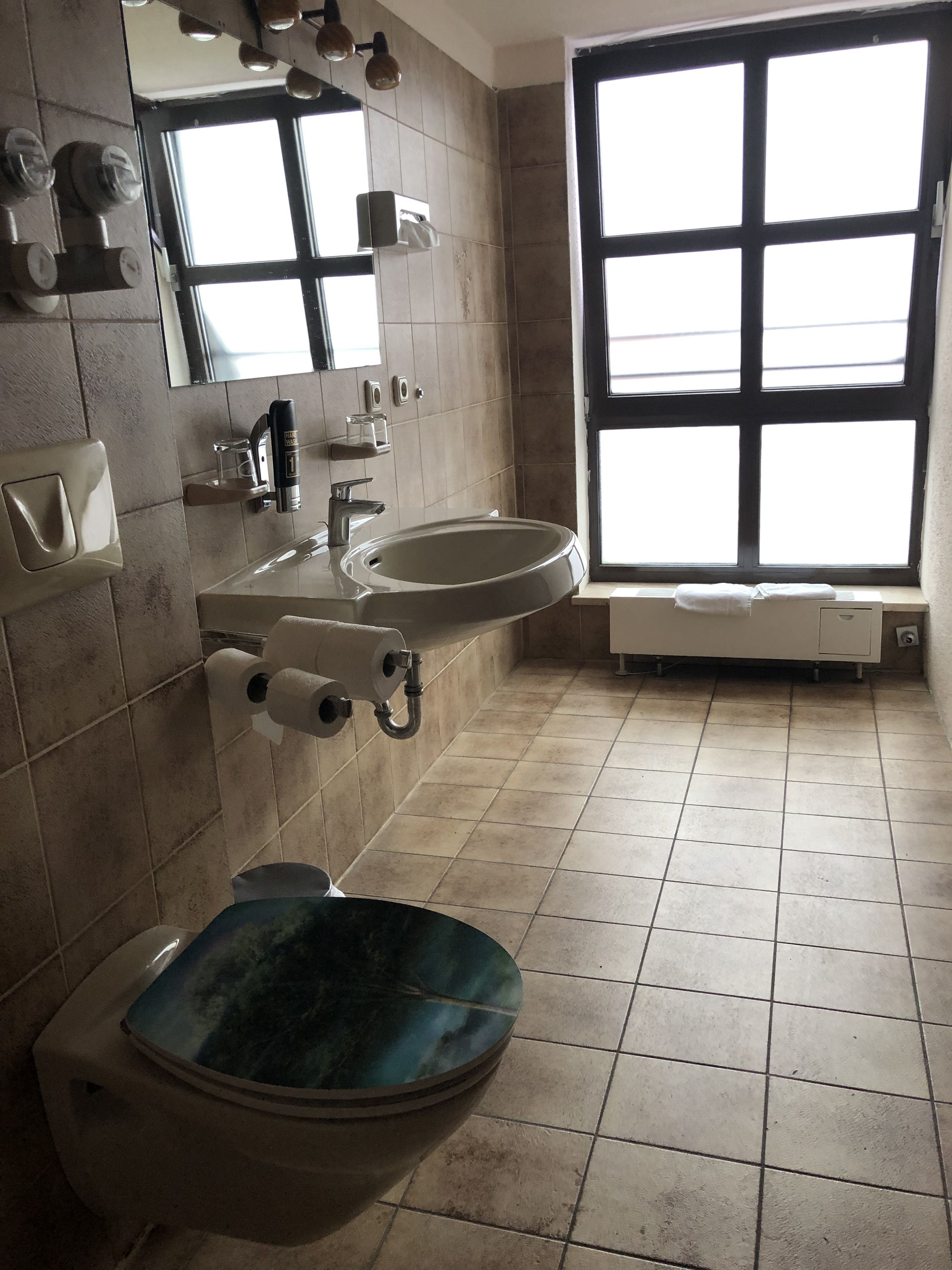 A bathroom with a toilet, sink, and window.