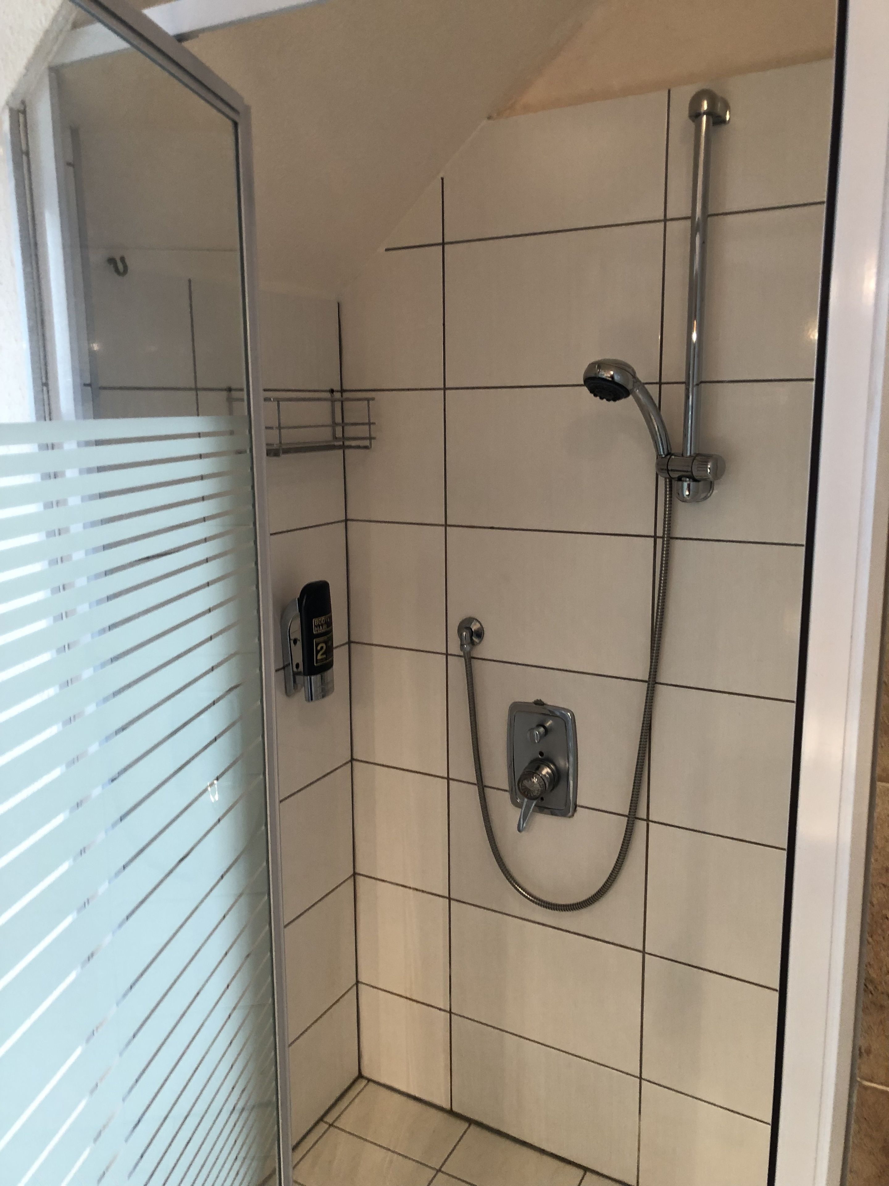 A shower area with a handheld showerhead, a wall-mounted faucet, and a control panel.