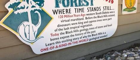 Skilt for Petrified Forest National Park, der nævner åbningen i 1929 og fremhæver dets geologiske betydning.