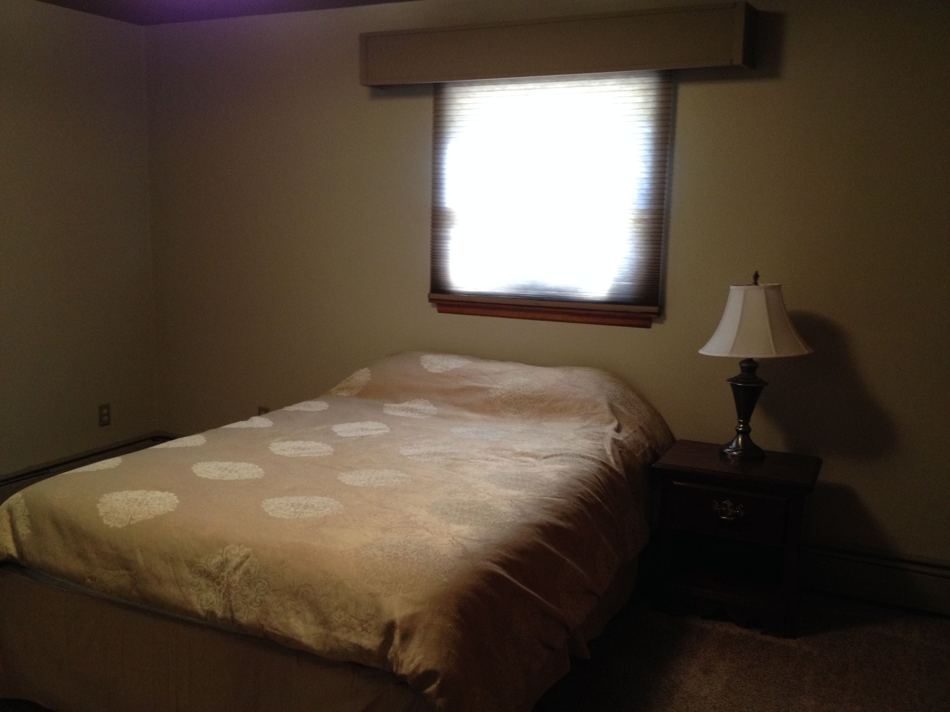 A bedroom with a bed, a nightstand, a lamp, and a window with blinds.