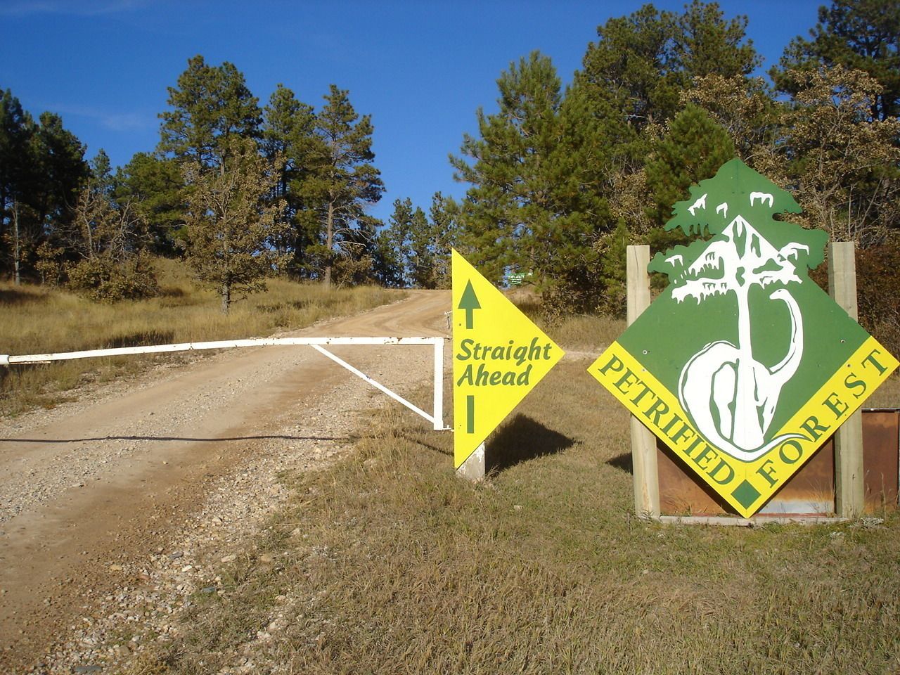 Un chemin de terre qui s’étend tout droit, avec un panneau indiquant la direction d’une forêt pétrifiée.