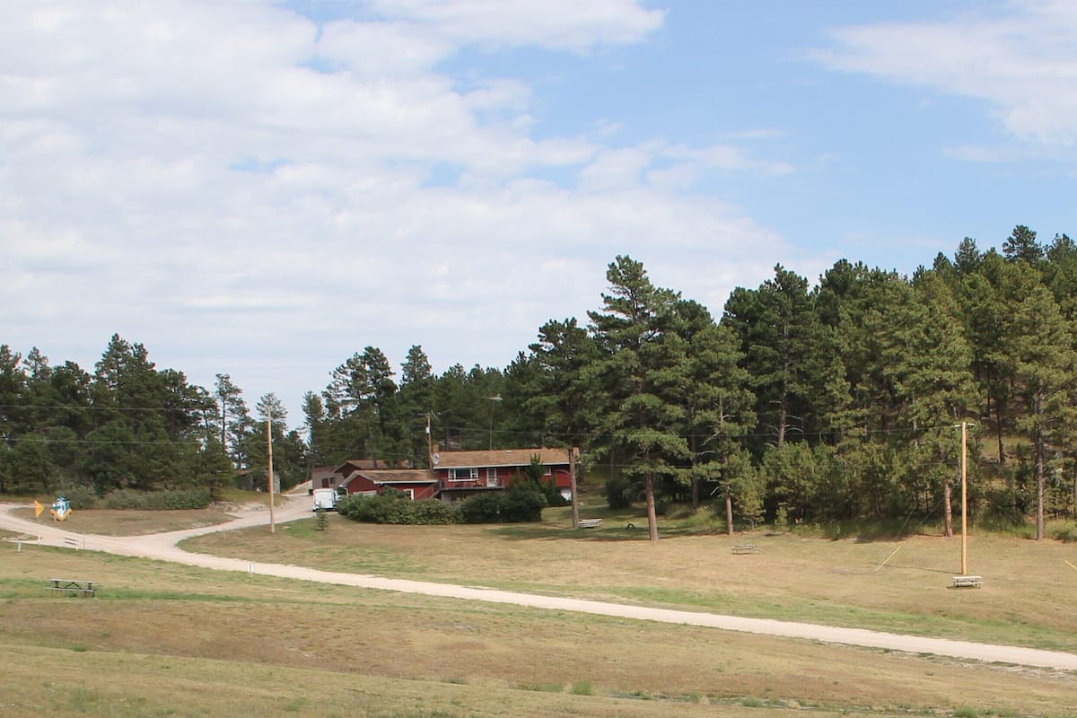A rural landscape with a dirt road, a red building, and dense pine trees.