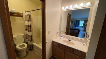 A bathroom with a toilet, shower, vanity with a mirror, and a sink.