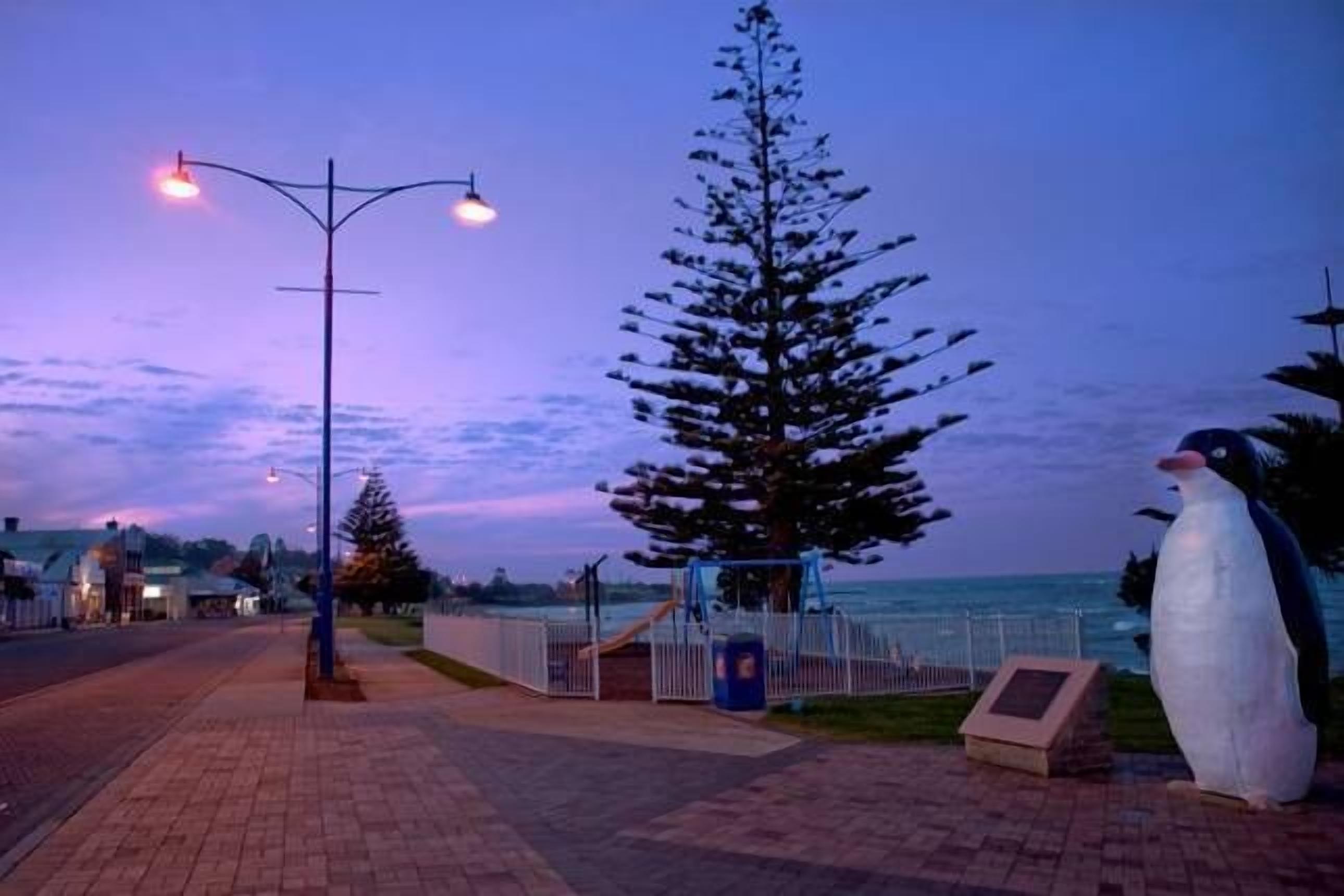 Penguin Waterfront Escape — image 3