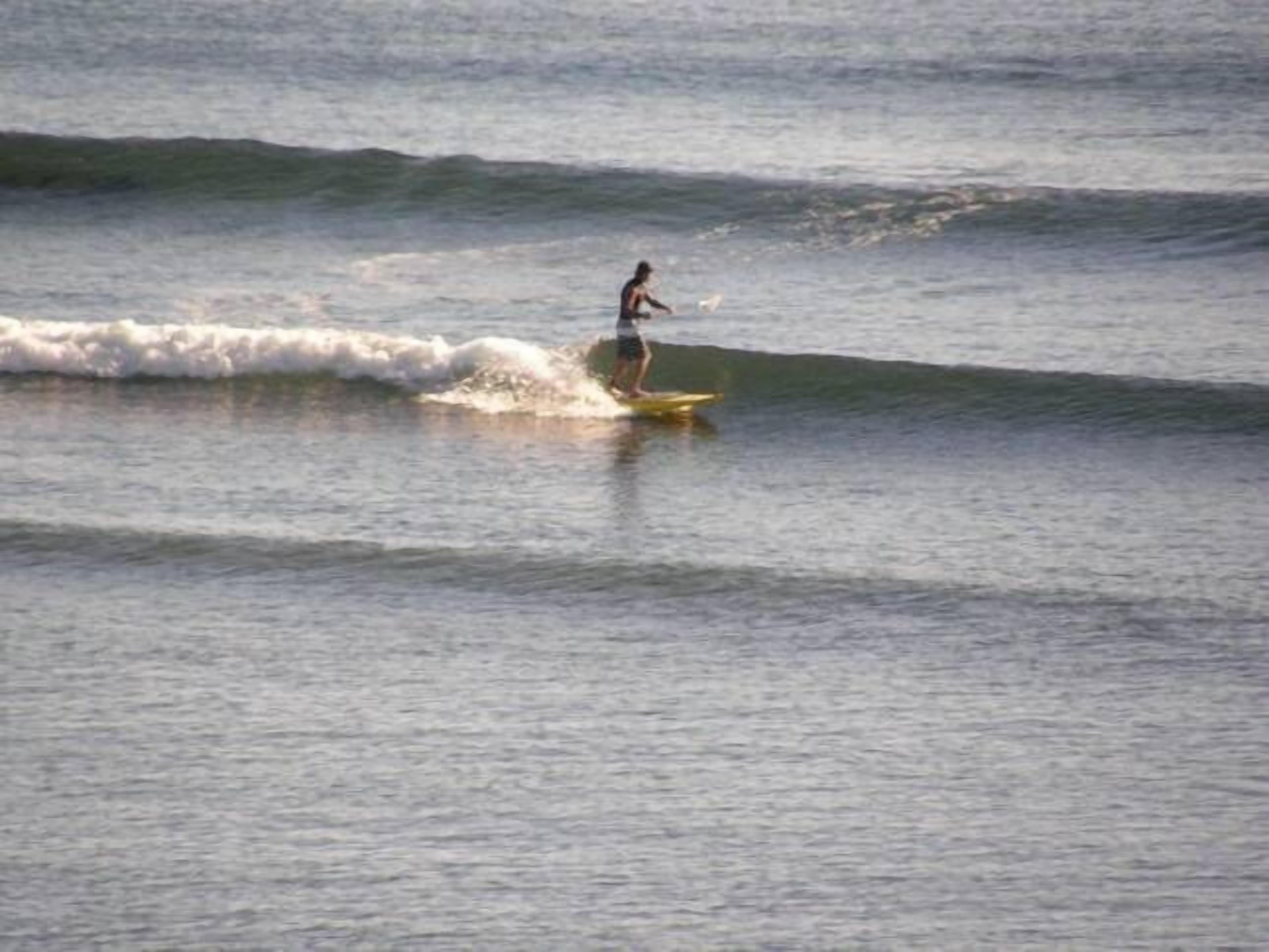 Penguin Waterfront Escape — image 16