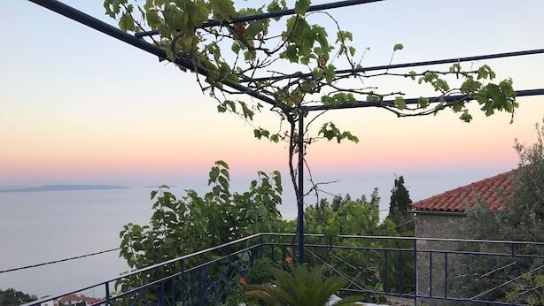 Un balcón con vista al mar, una planta en maceta y una barandilla.
