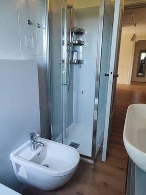 Bathtub, hair dryer, bidet, towels
