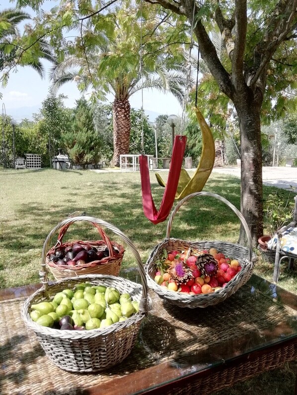 Property grounds - Country house in the hills 8 km from St. Benedict of T. Mediterranean Atmosphere (Monsampolo del Tronto)