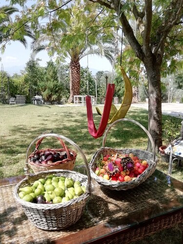 Maison de campagne sur les collines, entourée de verdure méditerranéenne