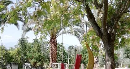 Country house in the hills 8 km from St. Benedict of T. Mediterranean Atmosphere