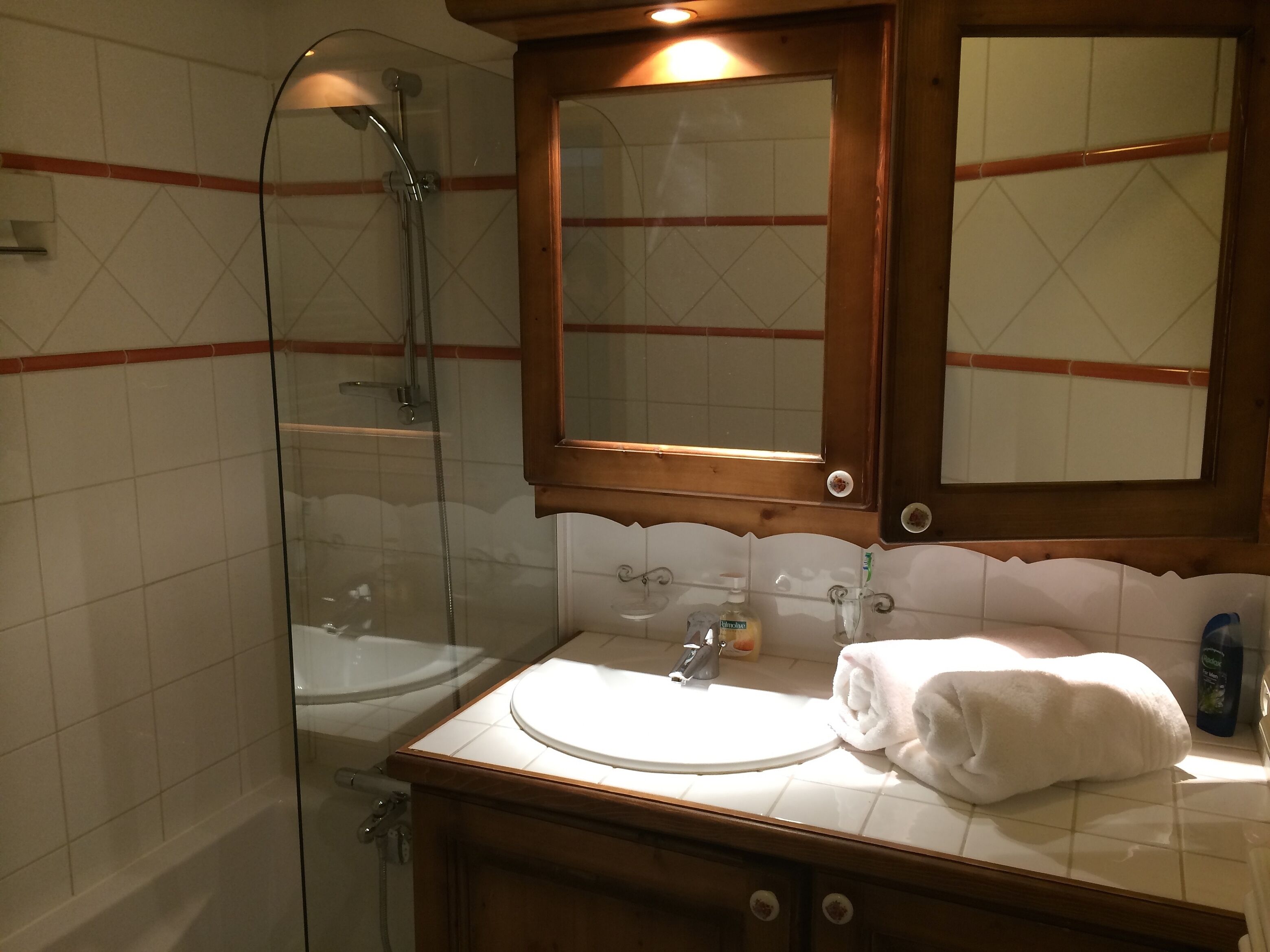 Alpine Apartment With Large Balcony, Village Location