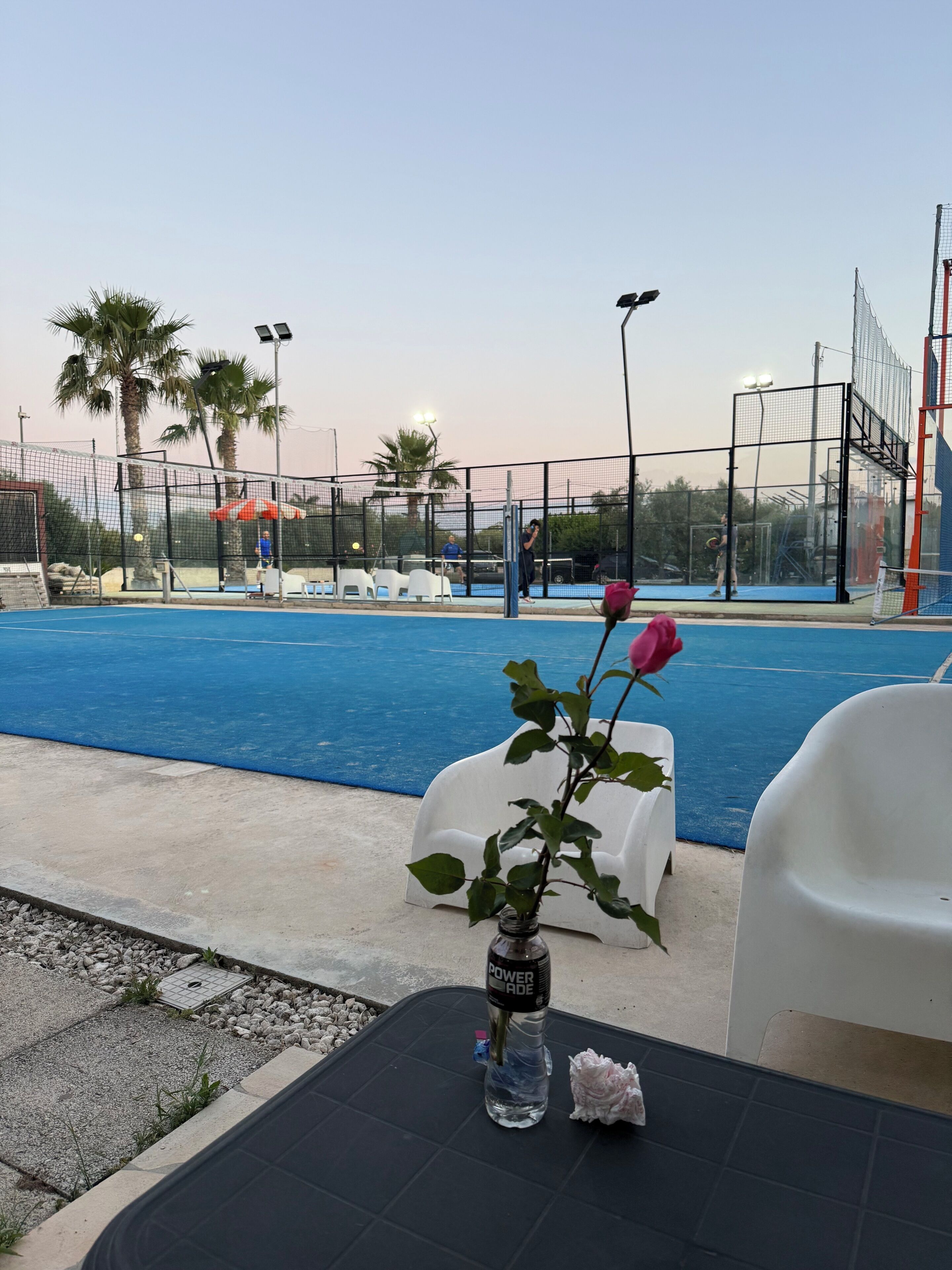 A swimming pool with a netted area, white lounge chairs, and a rose in a bottle on a table.