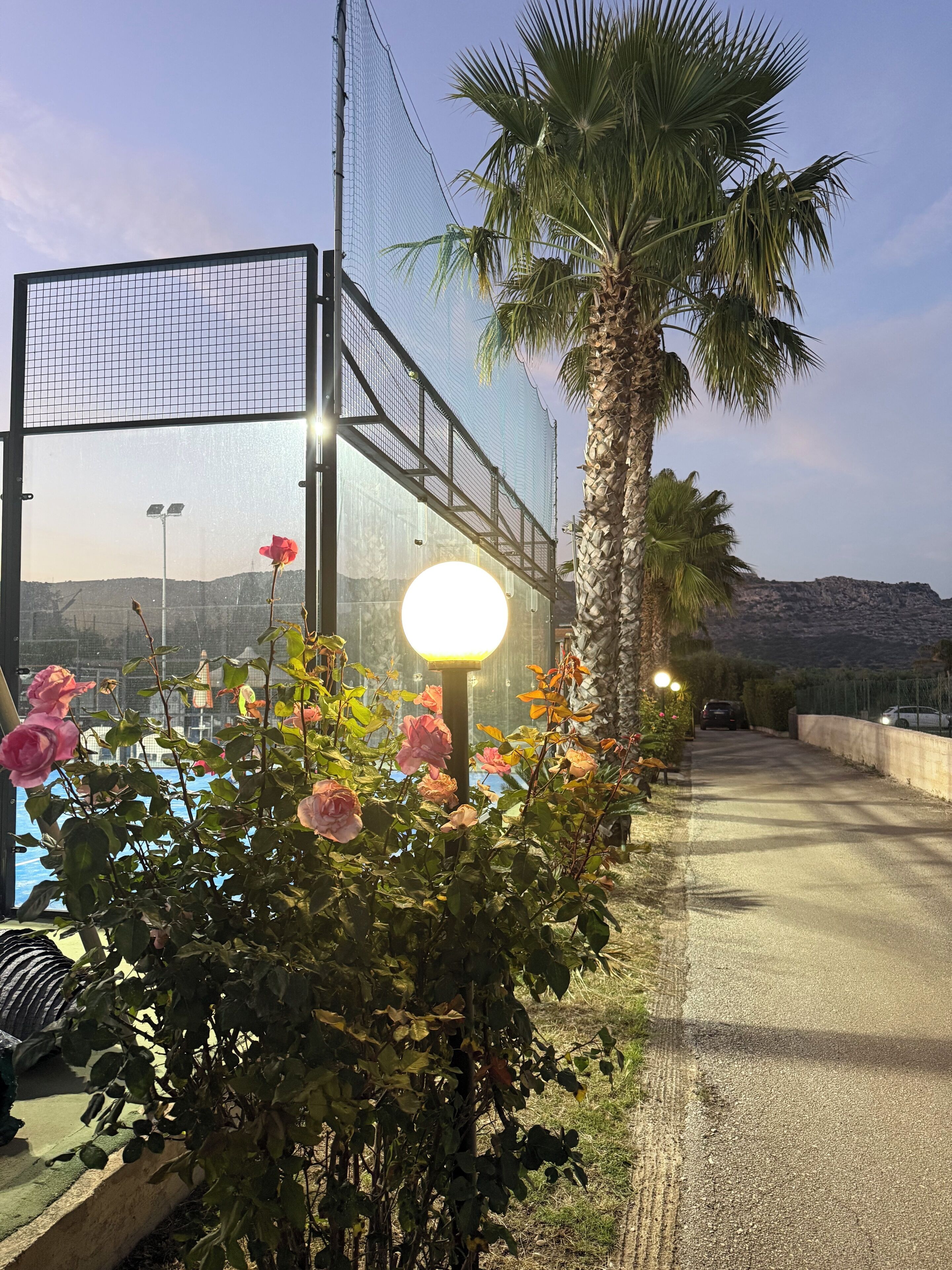 A building with a glass facade, a palm tree, and pink roses.
