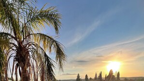 Une piscine entourée de chaises longues et de parasols, bordée de palmiers et offrant une vue sur le coucher de soleil.