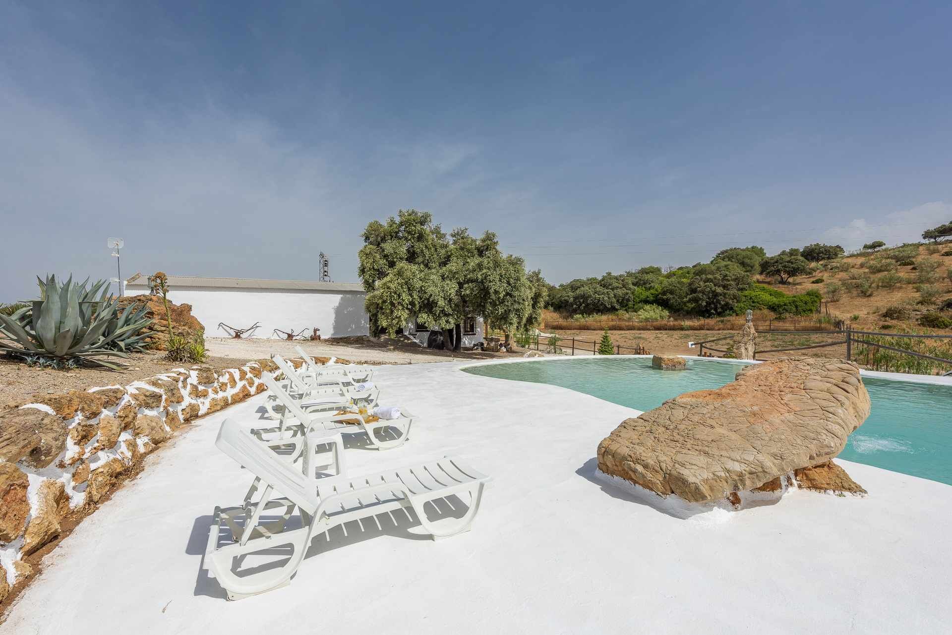 A pool area with white lounge chairs, a large rock, and a tree.