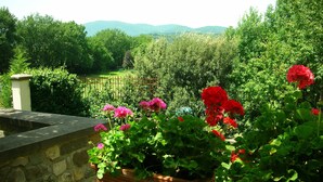 Un jardí amb geranis en testos i una paret de pedra.
