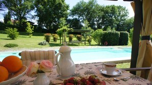 Taula amb una testosona, un bol d'albercocs i un ram de flors, amb vista a una piscina i un jardí.