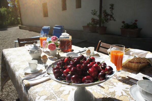 Outdoor dining - Il Nibbio, an ancient villa in the heart of Tuscany (Reggello)