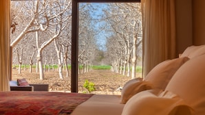 Una camera da letto con un'ampia finestra che si affaccia su un viale alberato.