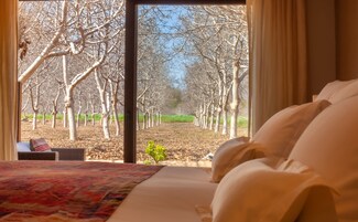 Deluxe Room, 1 King Bed, Mountain View | 3 bedrooms, premium bedding, in-room safe, individually decorated