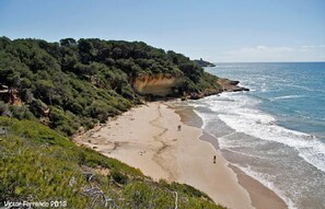 Una spiaggia nelle vicinanze, lettini da mare