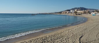 The olive groves building