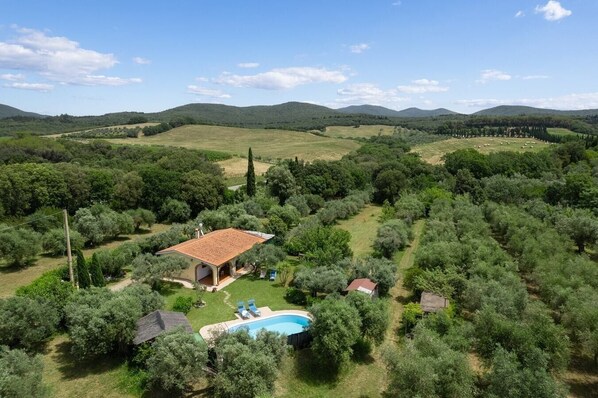 Pool - Villa Graziosa - Villa with private pool (Bibbona)