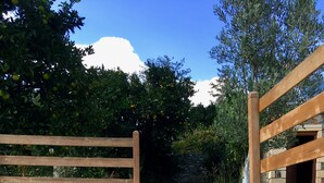 A stone staircase leading up to a wooden gate in a garden setting. - Country house near SPILI with peaceful garden, orange trees and jacuzzi (Mixorouma)