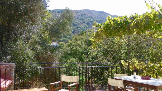 An outdoor patio with a table and chairs, a wooden bench, and a view of a vineyard and hills in the background. - Country house near SPILI with peaceful garden, orange trees and jacuzzi (Mixorouma)