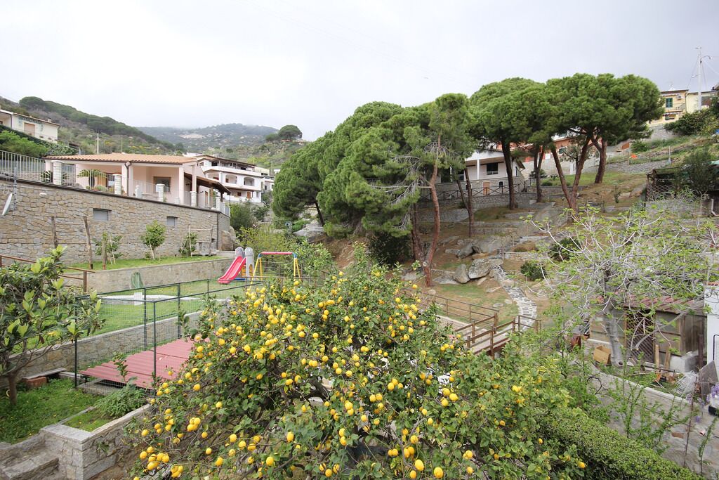 A residential area with stone walls, a playground, and a lemon tree in the foreground.