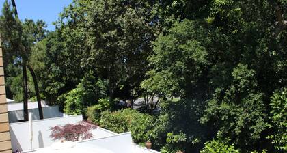 Quinta da Barca, Esposende