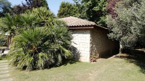 A small stone building with a tiled roof, surrounded by lush greenery including a palm tree and various shrubs. - Charming chalet  with private pool and around to beaches (Espargo/Santa Maria da Feira)