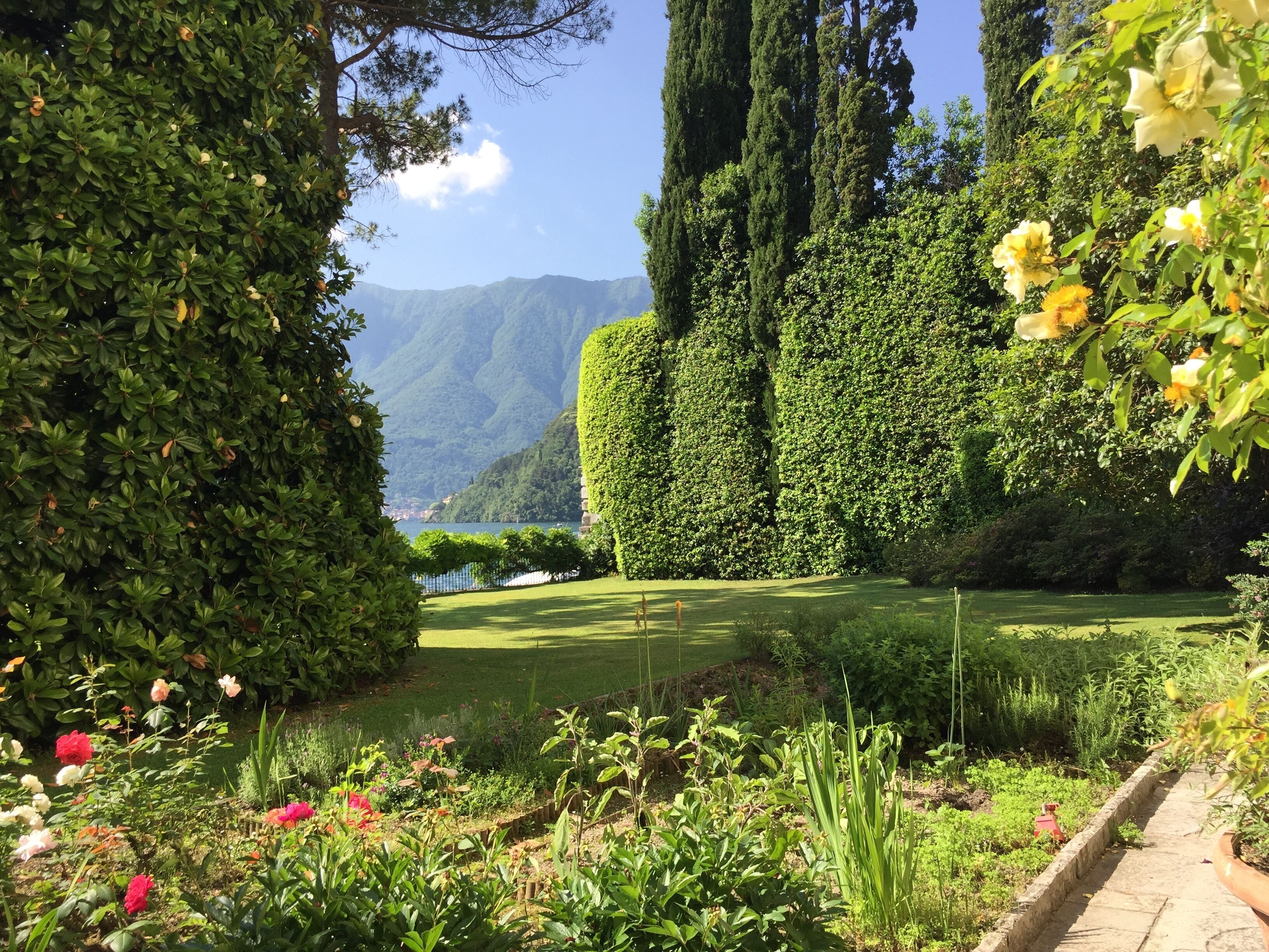 A well-maintained garden with a variety of plants and flowers, a neatly trimmed hedge, and a view of a lake with mountains in the background.