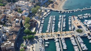An aerial view of a marina with numerous boats docked, surrounded by buildings and palm trees. - Brasilia 5A - Apartment in Puerto de Sóller with views to the sea and  mountains (Puerto de Sóller)