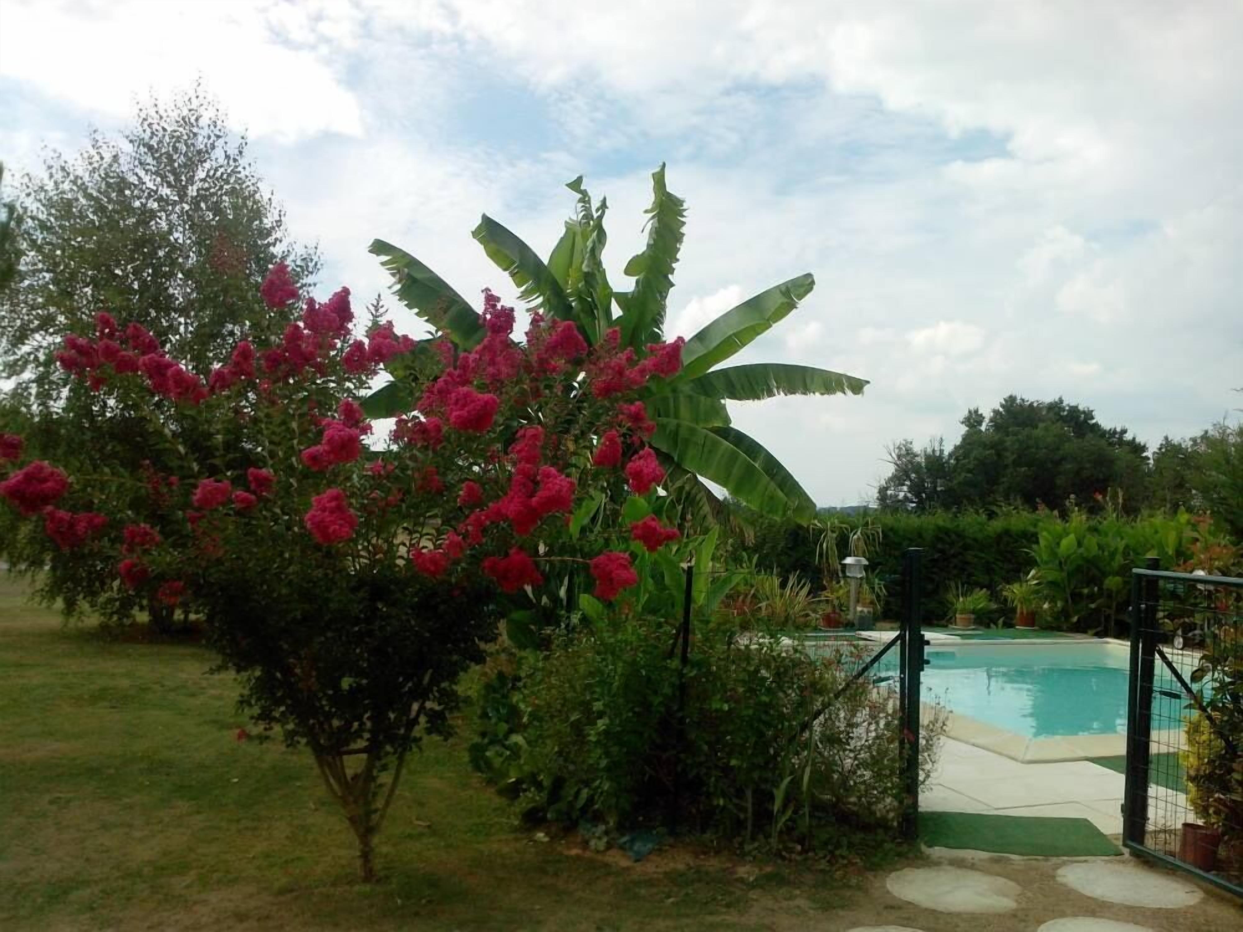 Un jardín con piscina, rodeado de abundante vegetación y plantas florecientes.